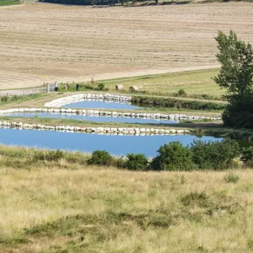 JOURNAL DU samedi 19 MARS 